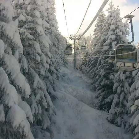 Alpine 6 * لي كونتامين مونتجوا